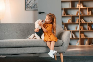 Neşeli küçük kız, Malta 'lı köpekle kanepede, evcil odada..