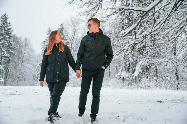 Çift kış ormanında yürüyüş yapıyor..