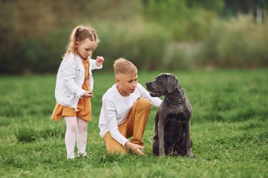 Küçük erkek ve kız kardeşi köpekleriyle yürüyüşe çıktılar..