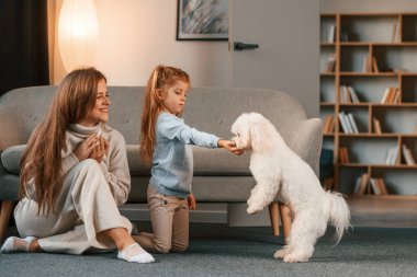 Anne ve kızı evde Malta köpeğiyle birlikte..