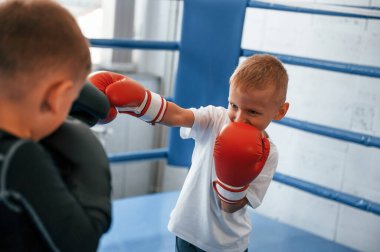 Ringde dövüşmek. Erkekler spor salonunda boks antrenmanı yapıyor..