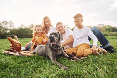 Güzel güneş ışığı. Şirin köpek. Aile yazın birlikte hafta sonlarını dışarıda geçirir..