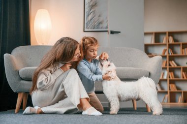 Birlikte eğleniyoruz. Anne ve kızı evde Malta köpeğiyle birlikte..