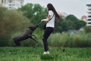 Koşmak ve oynamak. Genç esmer kız köpeğiyle dışarıda yürüyüş yapıyor..