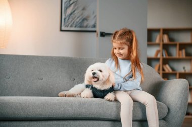 Hayvanı kucaklamak. Küçük kız evde Malta köpeğiyle birlikte..