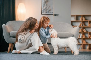 Birlikte eğleniyoruz. Anne ve kızı evde Malta köpeğiyle birlikte..