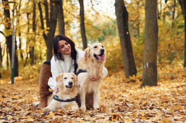 Kadın sonbahar ormanında iki köpeğiyle yürüyüşe çıkmış..