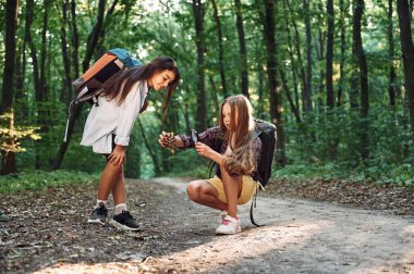 Kozalaklı kozalağa bakıyorum. İki kız ormanda boş vakit geçiriyor, yeni yerler keşfediyor..