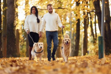 Güz parkında iki köpekle yürüyüş yapan sevimli bir çift var..