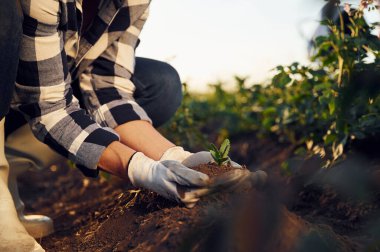 Enginar ekiyorum da. Gündüz vakti tarımda bir kadın var..