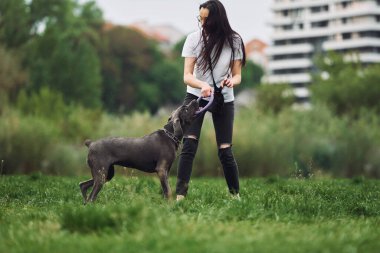 Koşmak ve oynamak. Genç esmer kız köpeğiyle dışarıda yürüyüş yapıyor..