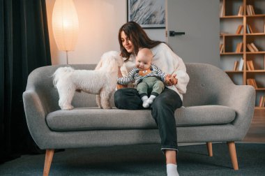 Yürüyen çocuğu ve sevimli beyaz köpeği olan kadın evde..