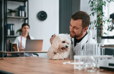 Kadın dizüstü bilgisayarın yanında oturuyor. Erkek ve kadın doktorlar klinikte Malta 'lı köpekle ilgileniyorlar..