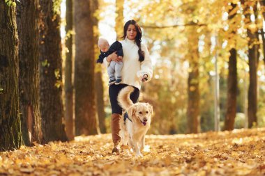 Bebek ve köpekle anne sonbahar parkında yürüyüş yapıyor..