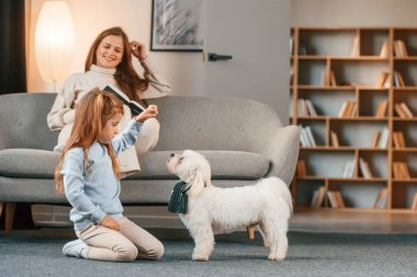 Anne ve kızı evde Malta köpeğiyle birlikte..