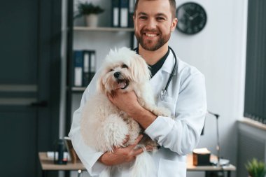 Beyaz önlüklü doktor ayakta ve Malta köpeğini elinde tutuyor. Klinikte..
