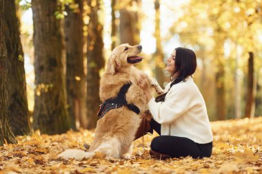 Hayvan arka ayaklarının üzerinde duruyor. Gündüz vakti bir kadın köpeğiyle birlikte güz ormanında yürüyüşe çıkıyor..