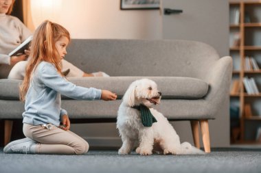 Yerde oturuyordum. Anne ve kızı evde Malta köpeğiyle birlikte..