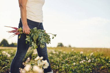 Elinde pancar kökü tutuyor. Gündüz vakti tarımda bir kadın var..