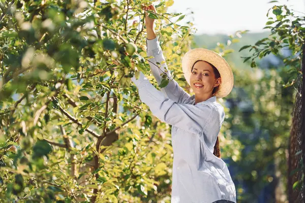 Elma ağacının yanında. Genç, neşeli kadın gündüz vakti bahçede..