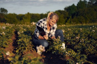 Kalite kontrolü. Büyüyen ürünleri kontrol ediyorum. Gündüz vakti tarımda bir kadın var..