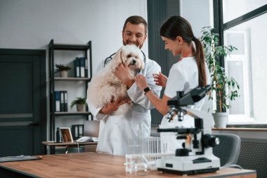 Şırıngayla kan alma işlemi. Erkek ve kadın doktorlar klinikte Malta 'lı köpekle ilgileniyorlar..