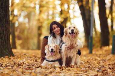 Oturuyor ve gülümsüyor. Sonbahar ormanında iki köpeğiyle yürüyüşe çıkmış bir kadın..