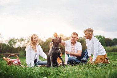 Köpekle eğleniyorum. Aile yazın birlikte hafta sonlarını dışarıda geçirir..