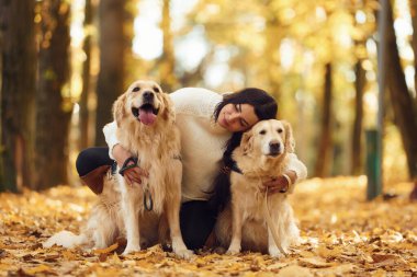 Oturuyor ve gülümsüyor. Sonbahar ormanında iki köpeğiyle yürüyüşe çıkmış bir kadın..