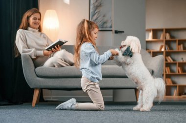 Kız yerde oturuyor ve evcil hayvanla oynuyor. Anne ve kızı evde Malta köpeğiyle birlikte..