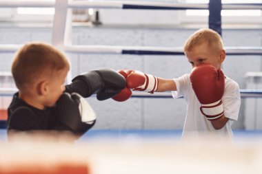 Ringde dövüşmek. Erkekler spor salonunda boks antrenmanı yapıyor..