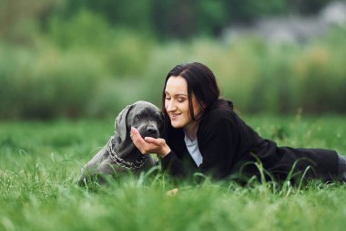 Çimlere uzanmak. Genç esmer kız köpeğiyle dışarıda yürüyüş yapıyor..