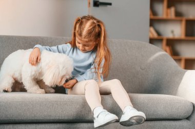 Tatlı veriyordu. Küçük kız evde Malta köpeğiyle birlikte..