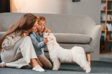 Evcil hayvanla oynuyordum. Anne ve kızı evde Malta köpeğiyle birlikte..