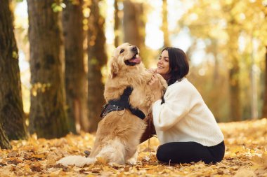 Hayvan arka ayaklarının üzerinde duruyor. Gündüz vakti bir kadın köpeğiyle birlikte güz ormanında yürüyüşe çıkıyor..