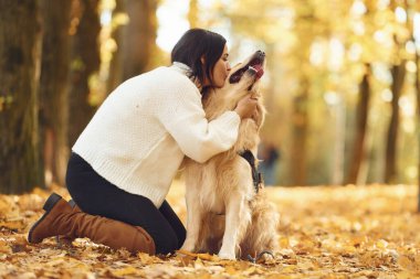 Gündüz vakti bir kadın köpeğiyle birlikte güz ormanında yürüyüşe çıkıyor..
