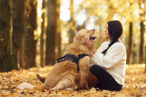 Gündüz vakti bir kadın köpeğiyle birlikte güz ormanında yürüyüşe çıkıyor..