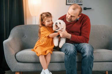 Hayvanı kucaklamak. Adam Malta 'lı köpeğine bakıyor. Kız kanepede oturuyor..