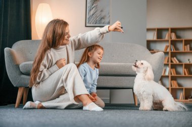 Hayvana tatlı yemek vermek. Anne ve kızı evde Malta köpeğiyle birlikte..