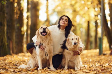 Oturuyor ve gülümsüyor. Sonbahar ormanında iki köpeğiyle yürüyüşe çıkmış bir kadın..