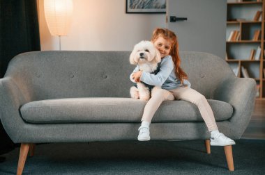 Hayvanı kucaklamak. Küçük kız evde Malta köpeğiyle birlikte..