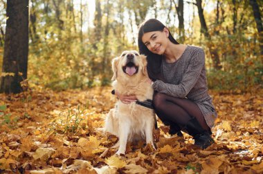 Oturuyor ve gülümsüyor. Gündüz vakti bir kadın köpeğiyle birlikte güz ormanında yürüyüşe çıkıyor..