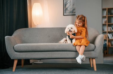 Sarı elbiseli küçük kız kanepede oturuyor ve evde köpeğiyle oturuyor..