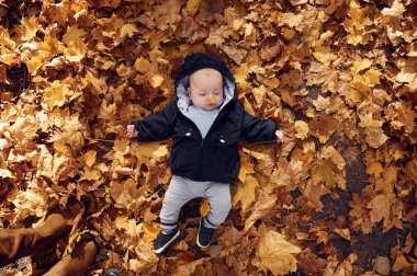 Üst Manzara. Sevimli küçük bebek yere düşmüş yapraklarla uzanıyor..
