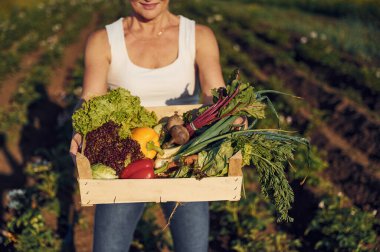 Elinde sebzeler olan bir kutu. Gündüz vakti tarımda bir kadın var..