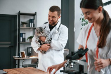 Elinde evcil hayvanla. Neşeli adam. Erkek ve kadın doktorlar klinikte İskoç katlı gri tekir kediyle ilgileniyorlar..