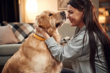 Yan görüş. Eğleniyoruz, kucaklaşıyoruz. Kadın Golden Retriever köpeğiyle evde..