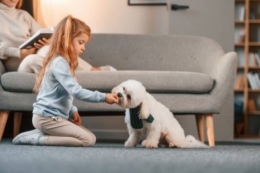 Yerde oturuyordum. Anne ve kızı evde Malta köpeğiyle birlikte..