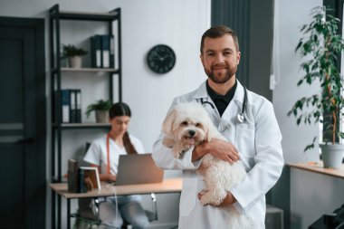 Kadın dizüstü bilgisayarın yanında oturuyor. Erkek ve kadın doktorlar klinikte Malta 'lı köpekle ilgileniyorlar..