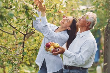 Taze elma tutuyorum. Kızı, büyük babasıyla birlikte gündüz vakti bahçede..